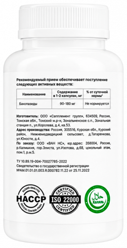 One NS Bacopa monnieri, Экстракт бакопа монье 450 мг, 60 капсул